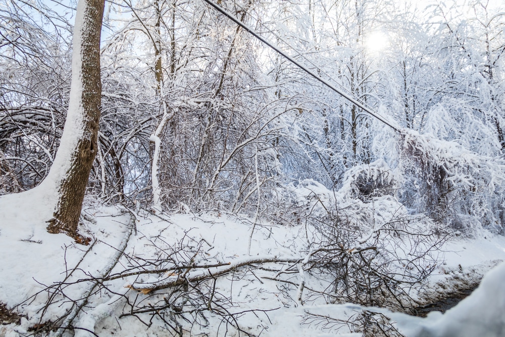 Downed,Power,Lines,From,Ice,And,Snow,Winter,Storm